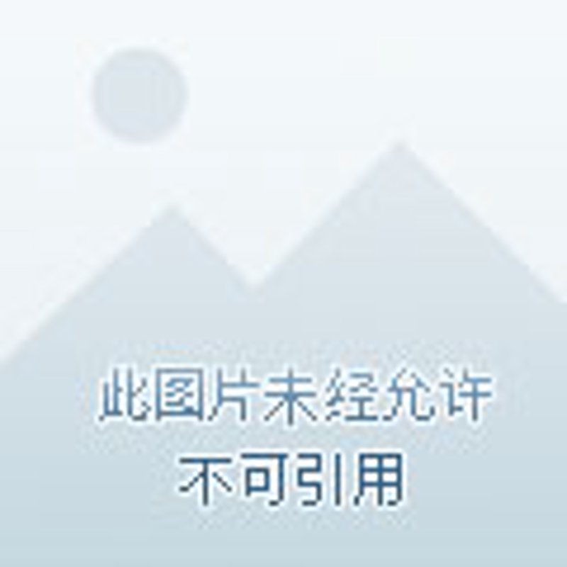 廉江房地产选购指南：打造理想家园