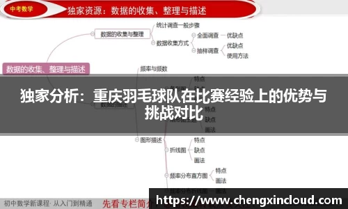 独家分析：重庆羽毛球队在比赛经验上的优势与挑战对比